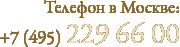 Телефон в Москве: +7 (495) 229-66-00